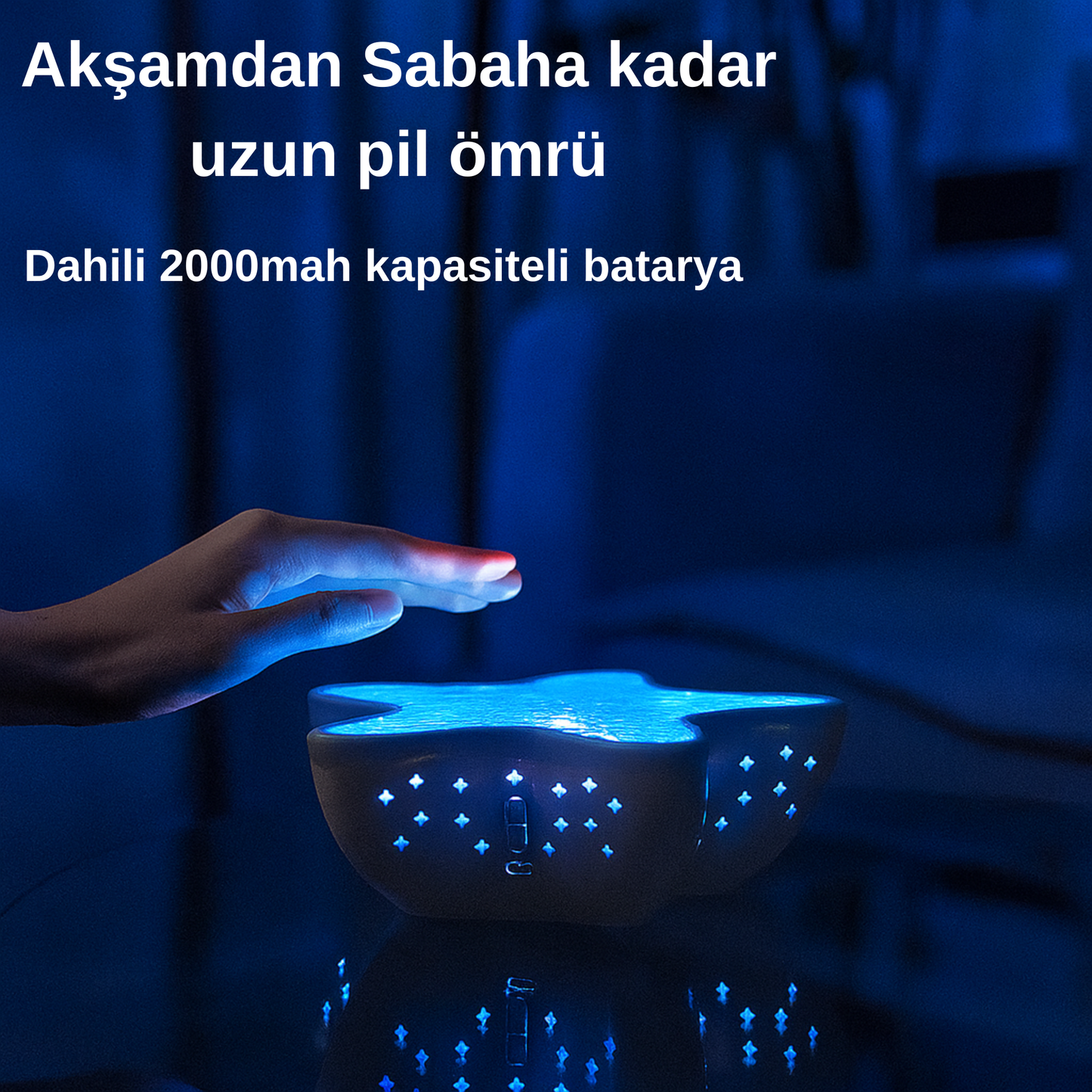 Aurora Starfish Yıldızı