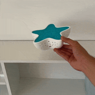 Aurora Starfish Yıldızı